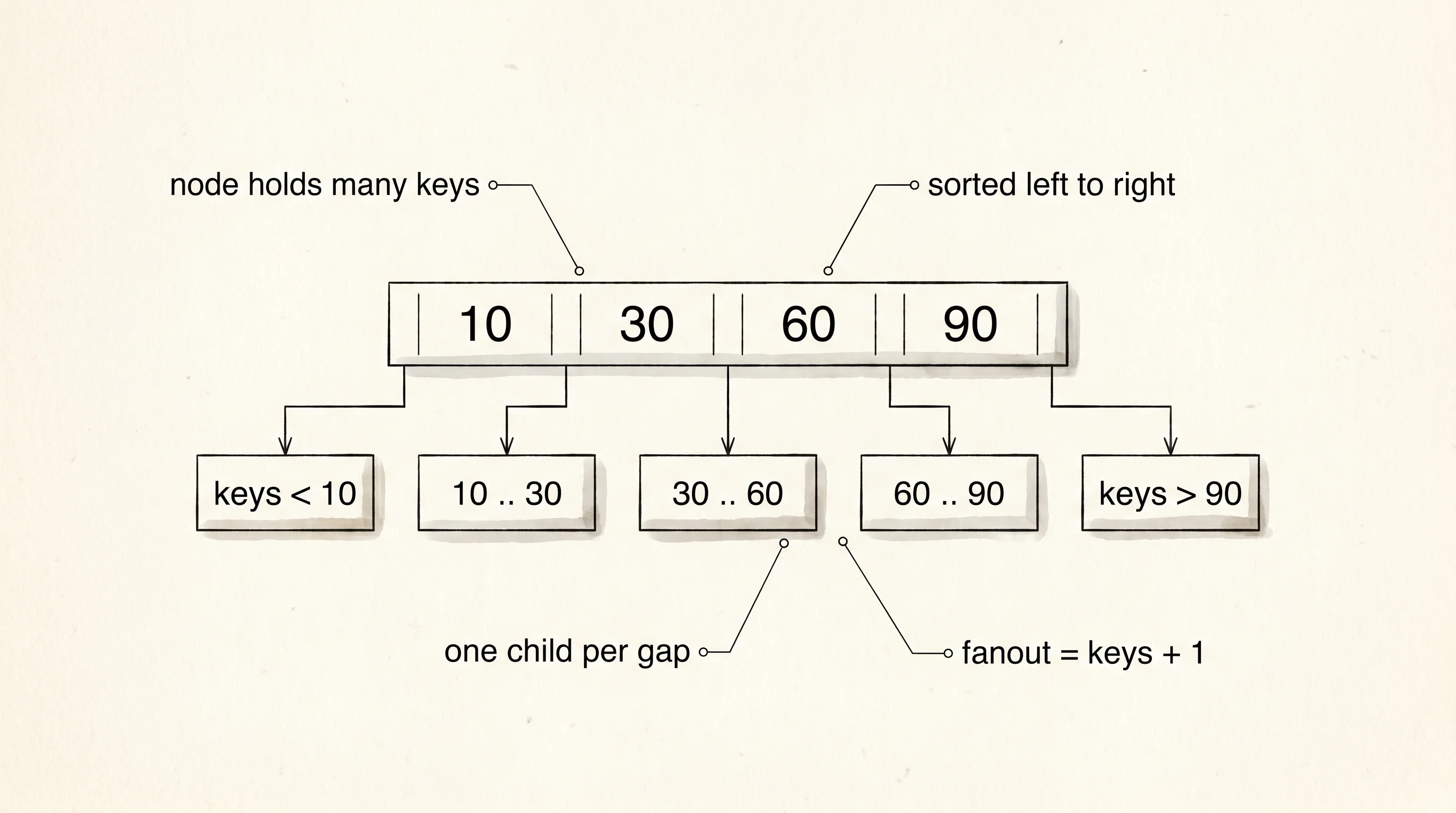 One node of a B-tree holds many keys side by side, with one child link sitting in each gap between keys.