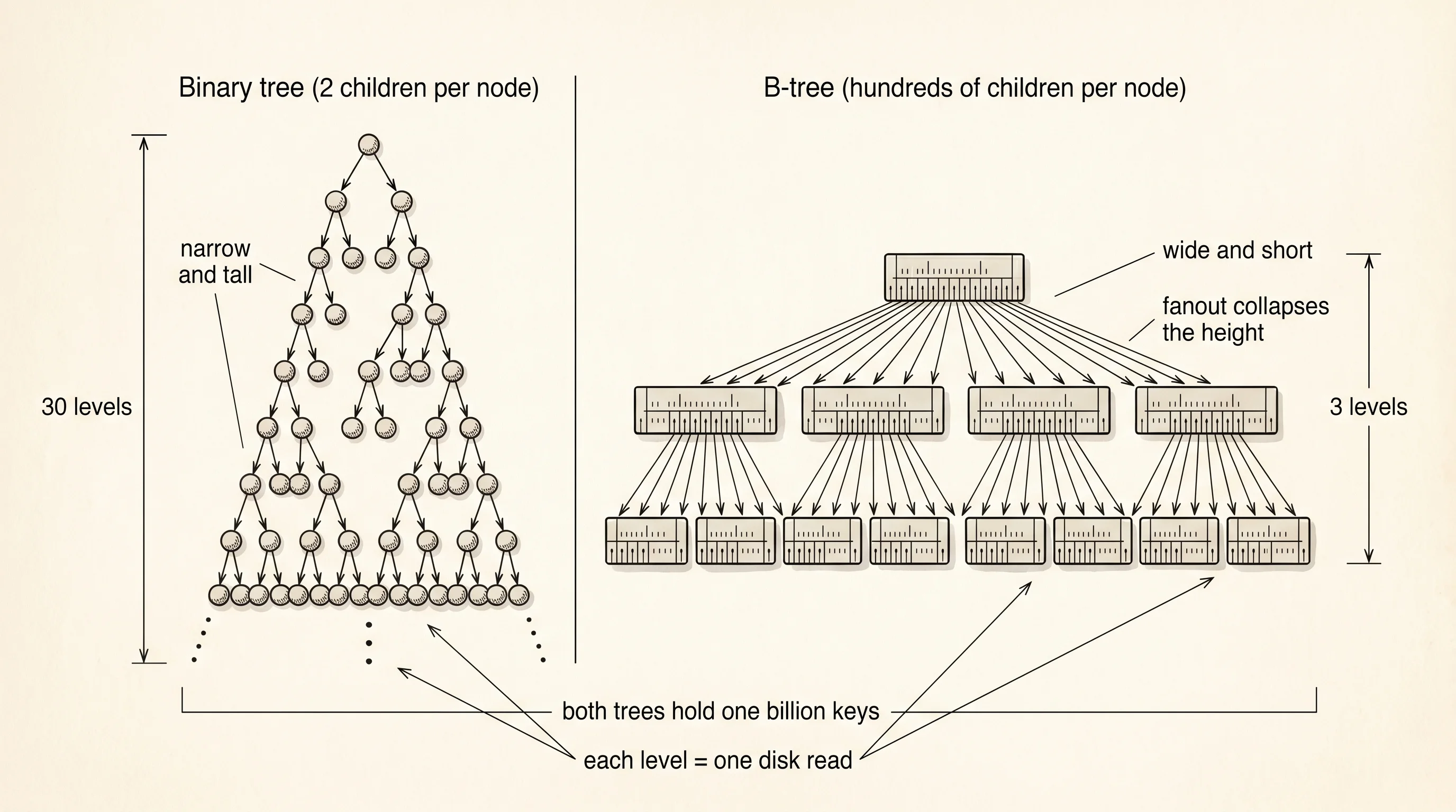 A binary tree of a billion keys is 30 levels tall. A B-tree with hundreds of keys per node is only 3 or 4 levels tall.