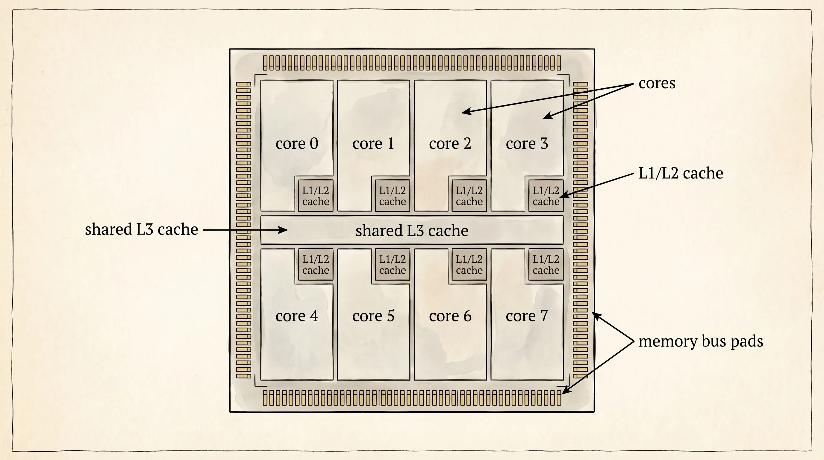 A cutaway of a modern CPU die with cores, cache, and the memory bus marked.