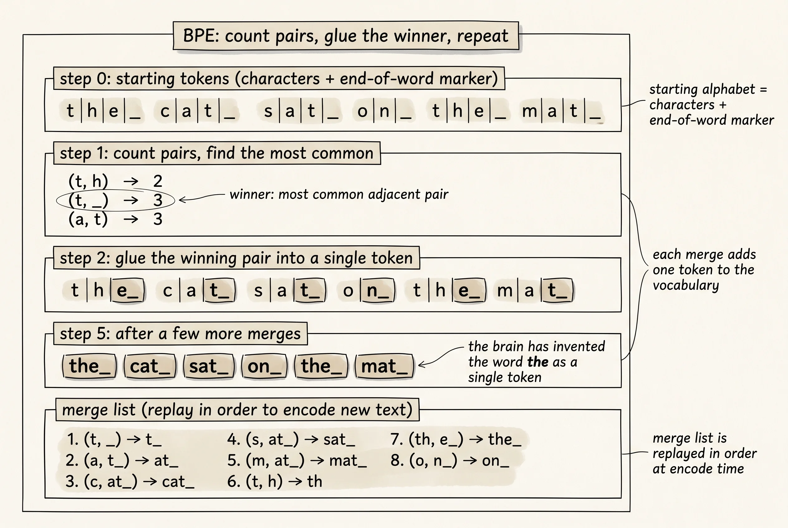 BPE rediscovering English on a tiny corpus. Each row is one merge step: the most common adjacent pair is glued into a single token, then the loop repeats.