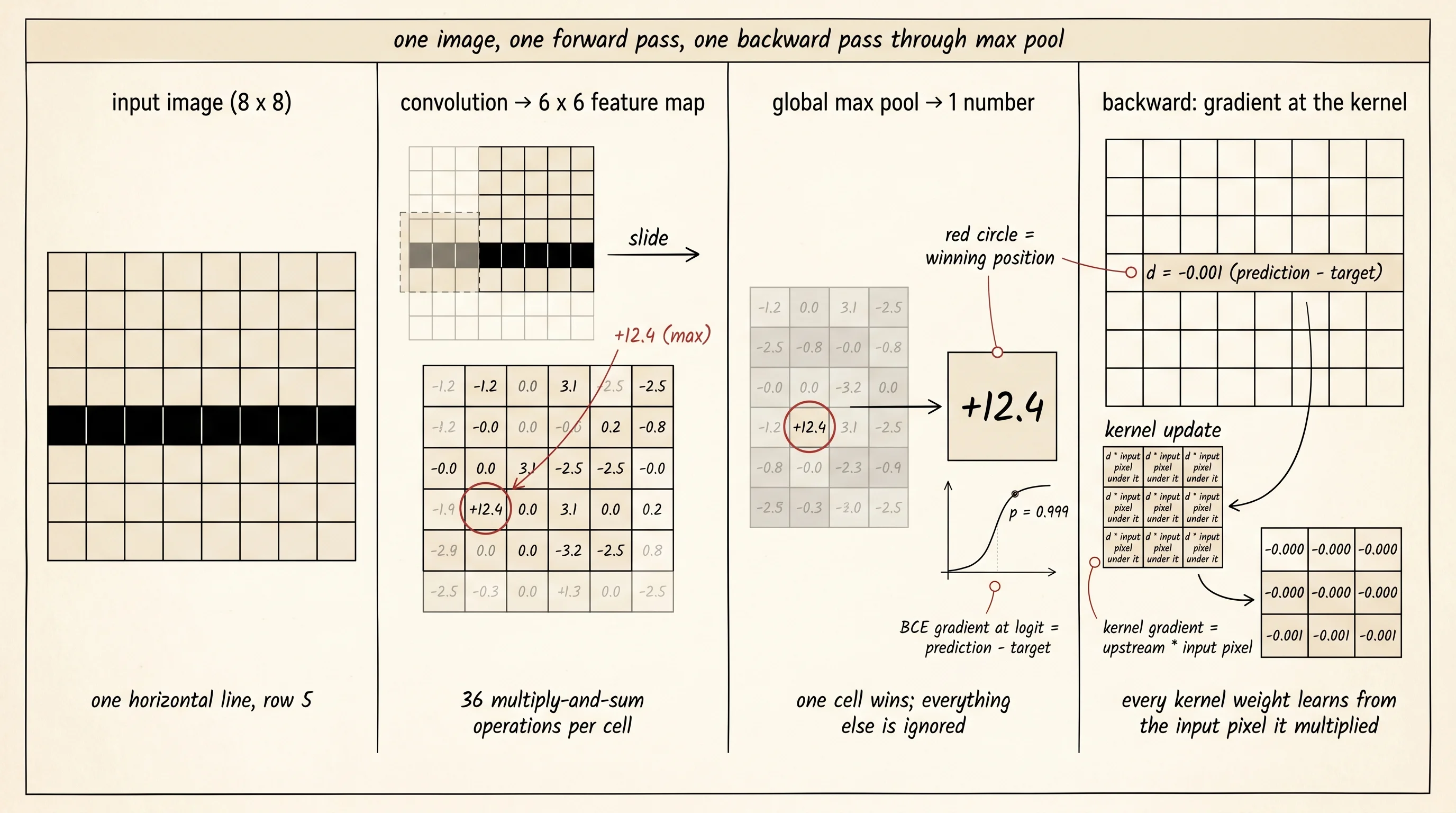 The convolution slides the kernel across the image, max pool keeps the strongest activation, and the gradient flows back only through that one position to update every kernel weight by the input pixel that lined up with it.