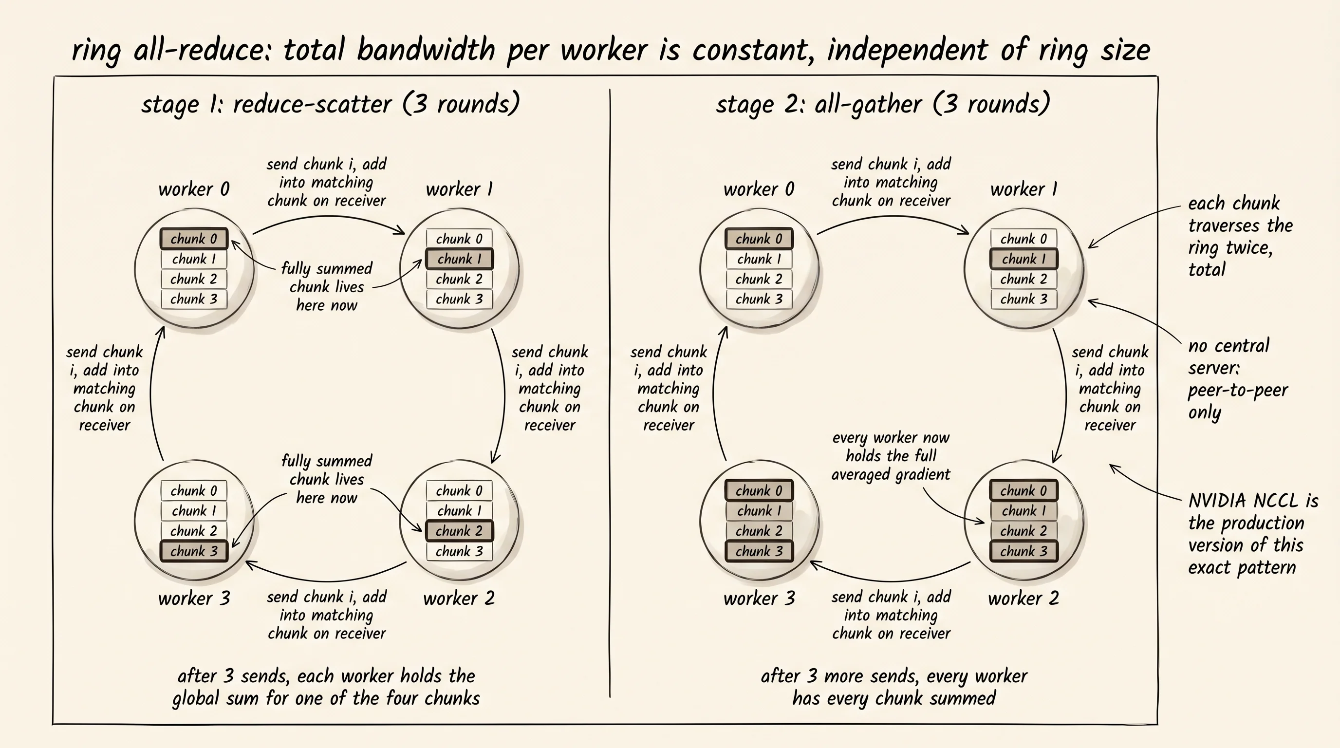 Four workers arranged in a ring. Each worker splits its gradient into 4 chunks. Three rounds of send-and-add reduce one chunk to its full sum at one worker; three more rounds broadcast the sums back so every worker holds the full averaged gradient.