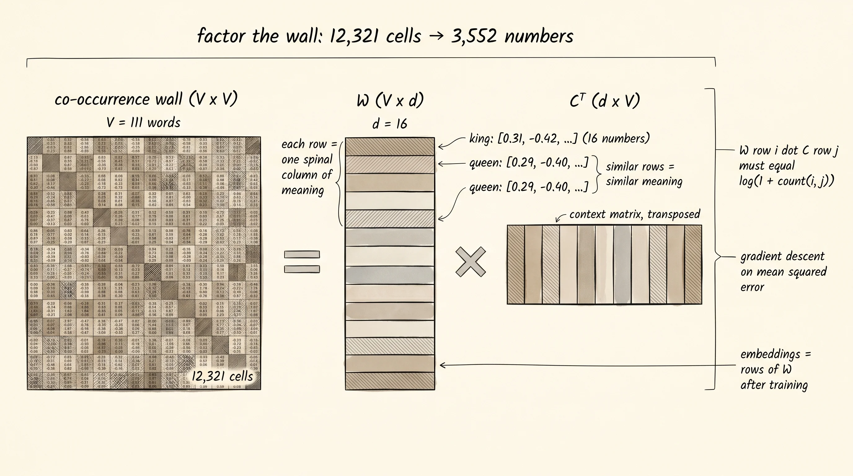 The wall on the left equals the product of two thin matrices on the right. Each row of W is the 16-number embedding for one word, the spinal column of meaning that survives the squeeze.