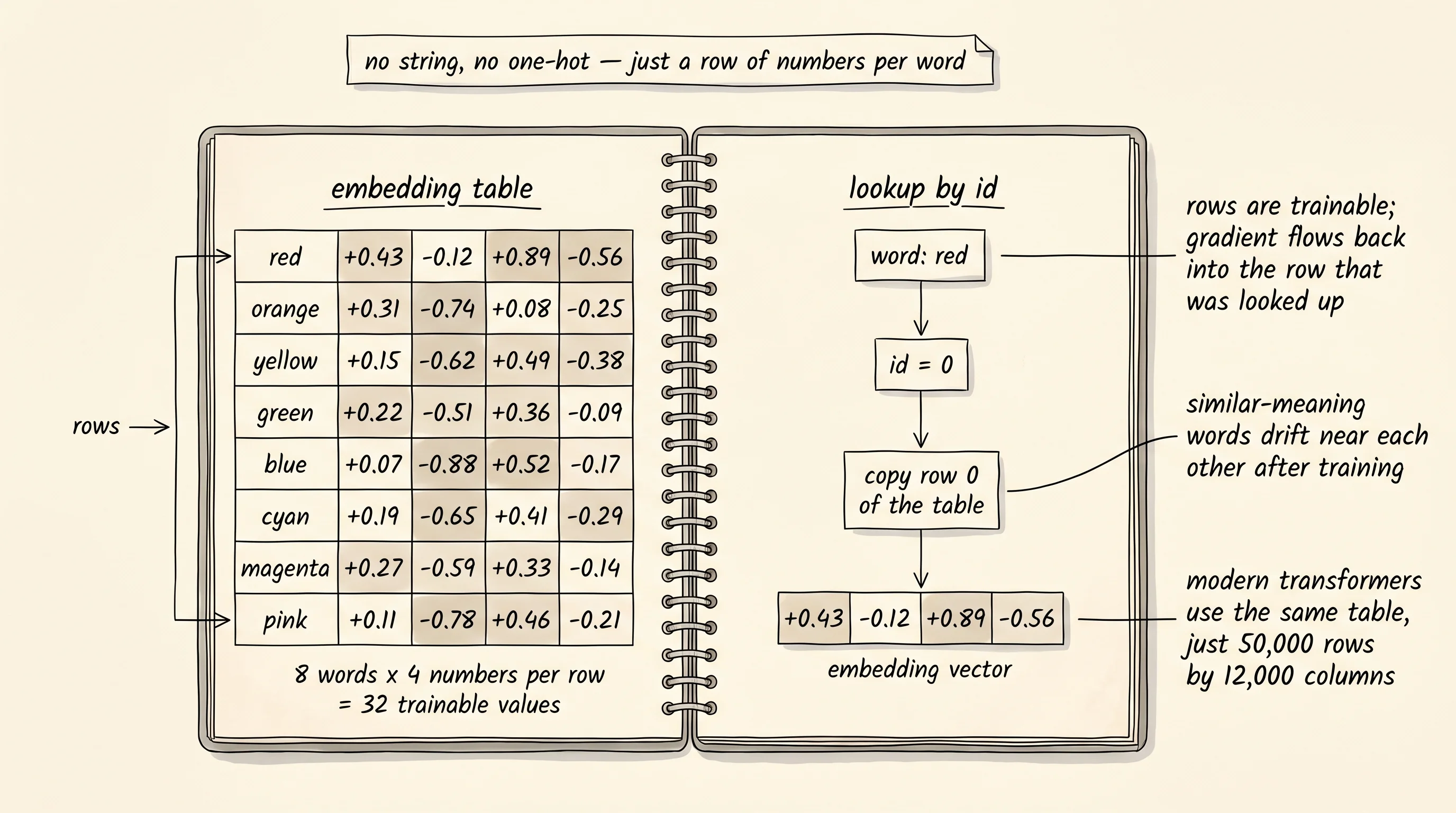 An open notebook with one row per word and four numbers per row. The lookup is just copying out a row by id. The numbers start as random scribbles and end up as a learned definition of each word.
