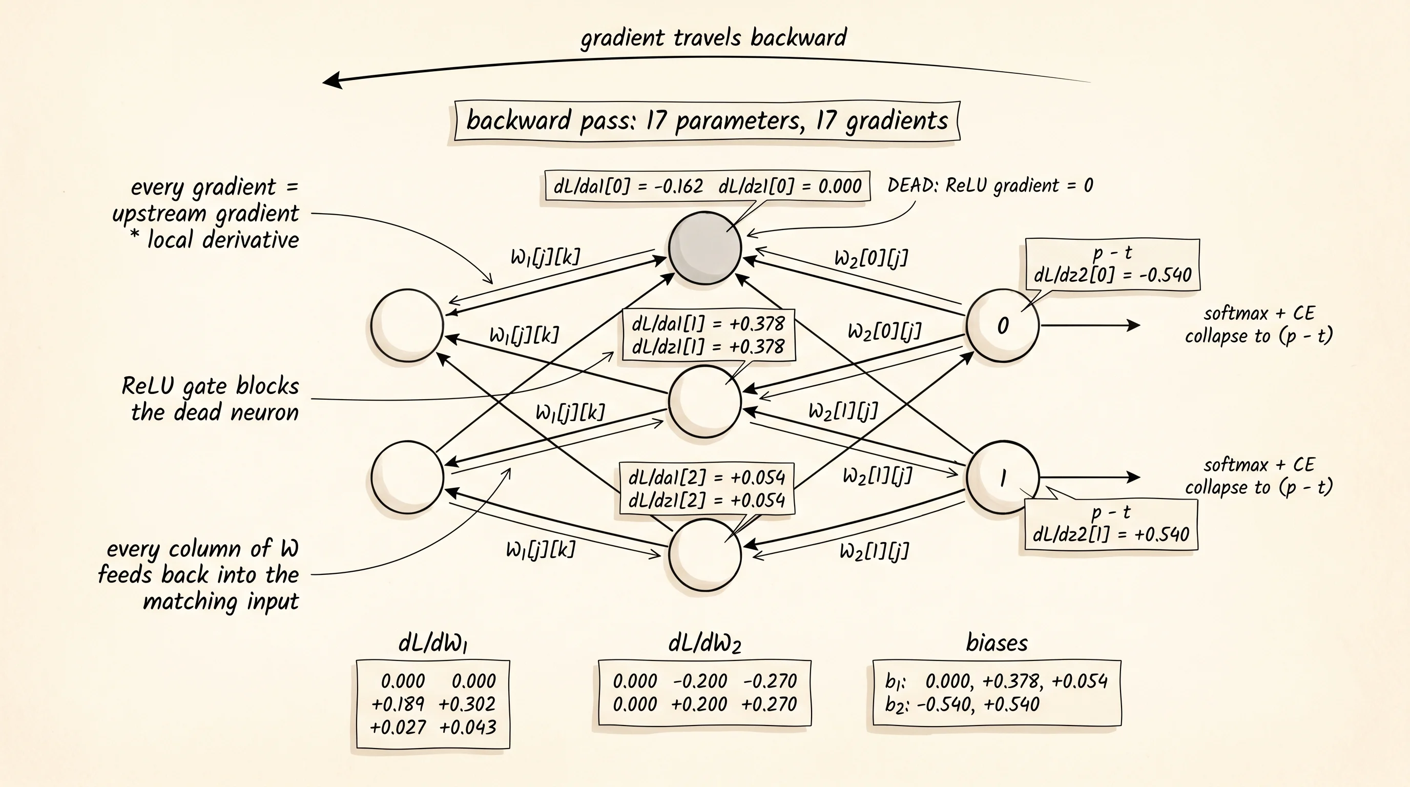 The same 2 -> 3 -> 2 network annotated with the backward pass: at every node the local derivative, the upstream gradient, and the downstream gradient are written out.