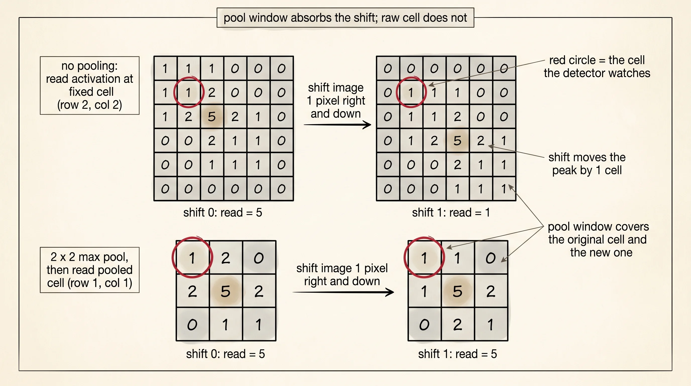 Top row: an L-shaped pattern moves one pixel down and right, and the raw activation at the watched cell collapses from 5 to 1. Bottom row: the same shift inside a 2x2 pool window keeps the score at 5.