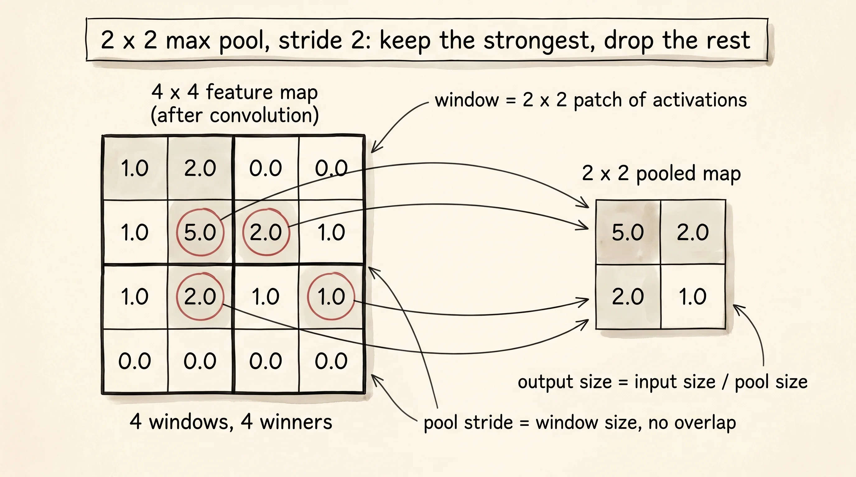 A 4x4 feature map collapses into a 2x2 pooled map. Each 2x2 window picks its single largest value; the four winners are circled and a thin arrow shows where each one lands in the smaller grid.