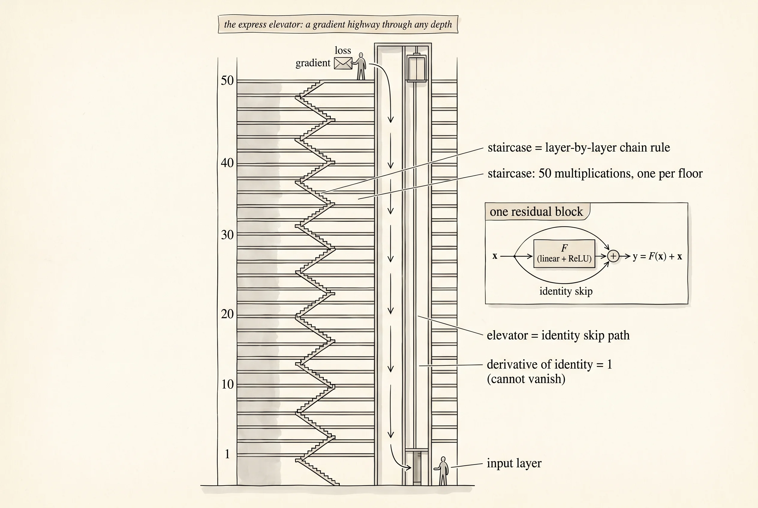 A 50-story office tower in cutaway: a numbered staircase climbs floor by floor while an express elevator runs straight from floor 50 to floor 1 — the residual block in architectural form.