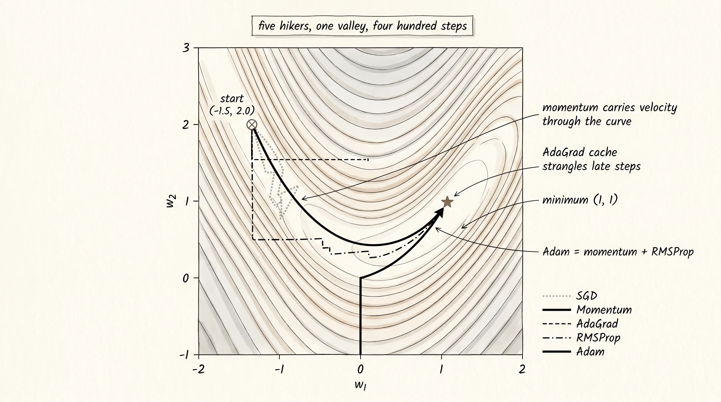 Five paths down the same Rosenbrock valley: SGD barely moves, momentum runs the curve, AdaGrad freezes, RMSProp creeps, Adam takes the cleanest line.