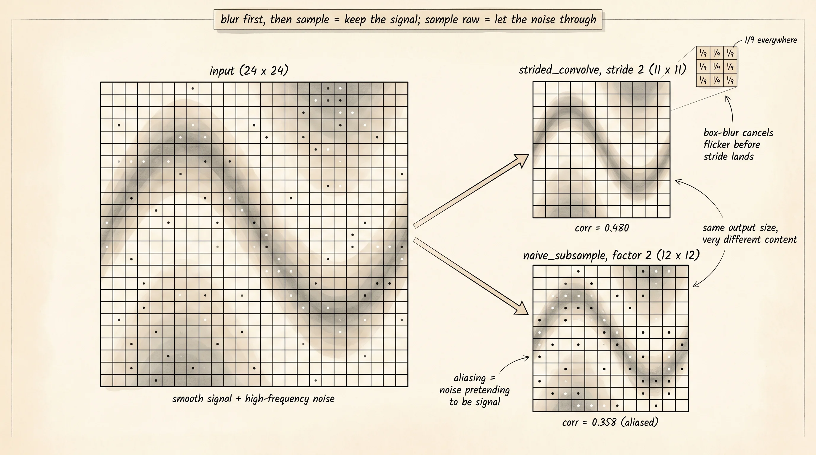 Same input, two ways to shrink it. Strided convolution averages a 3x3 patch first and keeps 0.480 correlation. Naive subsampling stares straight at every other pixel and drops to 0.358 because the noise aliases through.