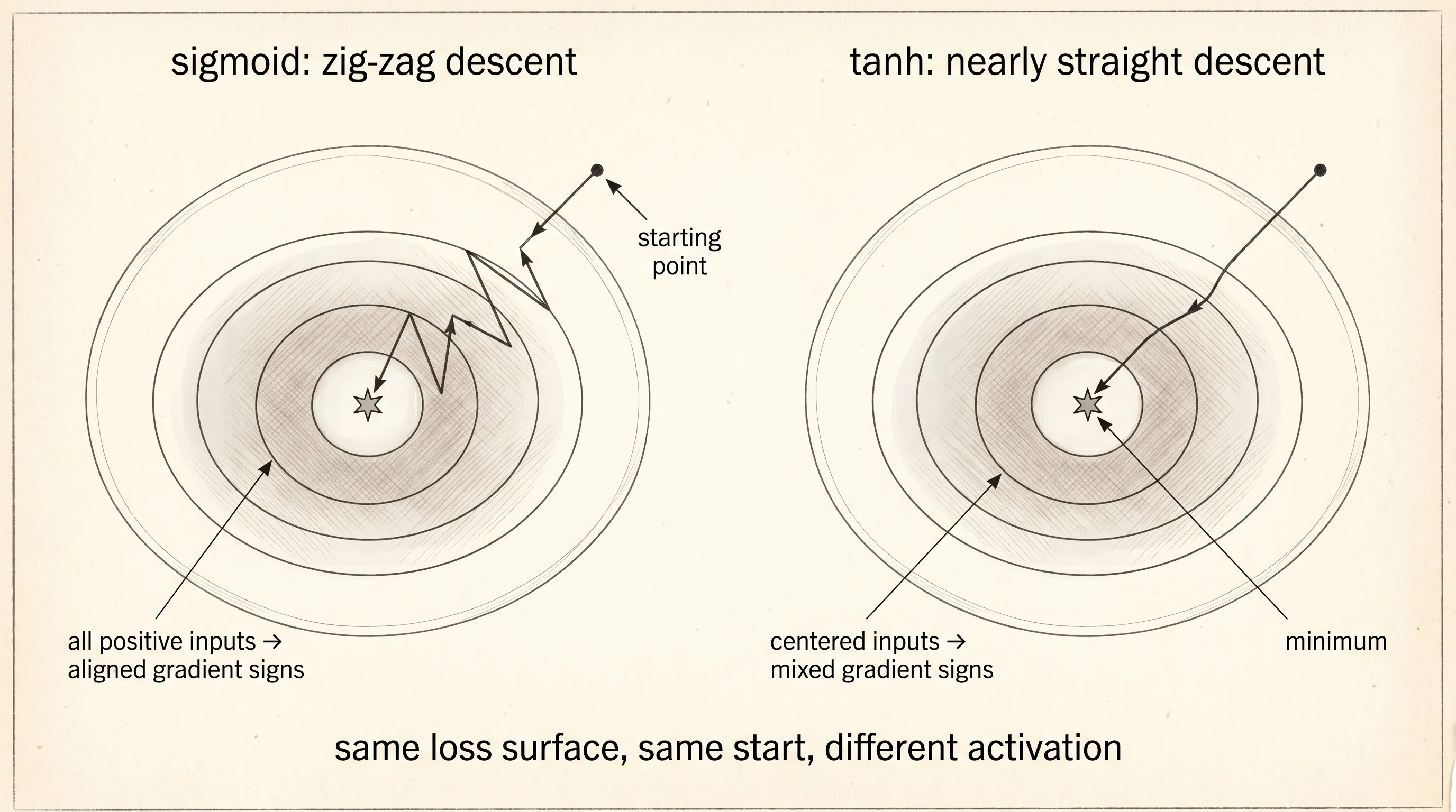 Sigmoid's all-positive activations force the optimizer to zigzag. Tanh's centered activations let it walk straight to the minimum.