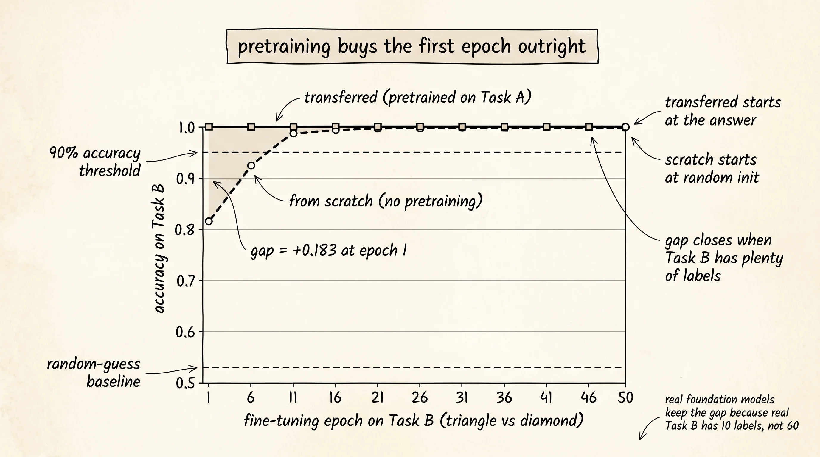 Two accuracy curves on Task B over 50 epochs. The transferred network starts at 1.0 on epoch 1; the from-scratch network starts at 0.817 and catches up by epoch 6. The shaded region between them is the head start that pretraining bought.
