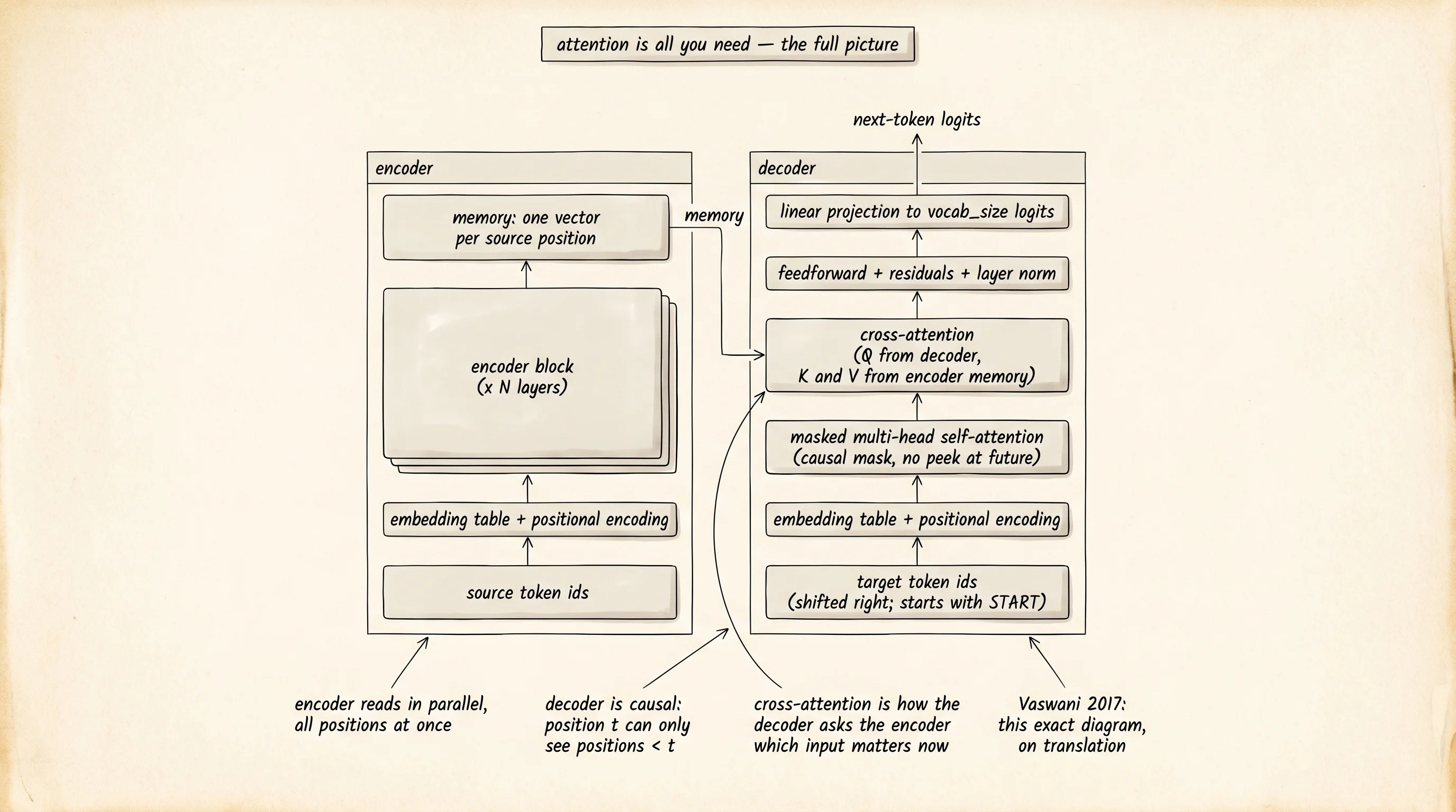 The full encoder-decoder transformer drawn at the architecture level. Source tokens enter the encoder stack and become memory. Target tokens enter the decoder stack, attend to themselves causally, then attend to the encoder memory, and emit logits one step at a time.