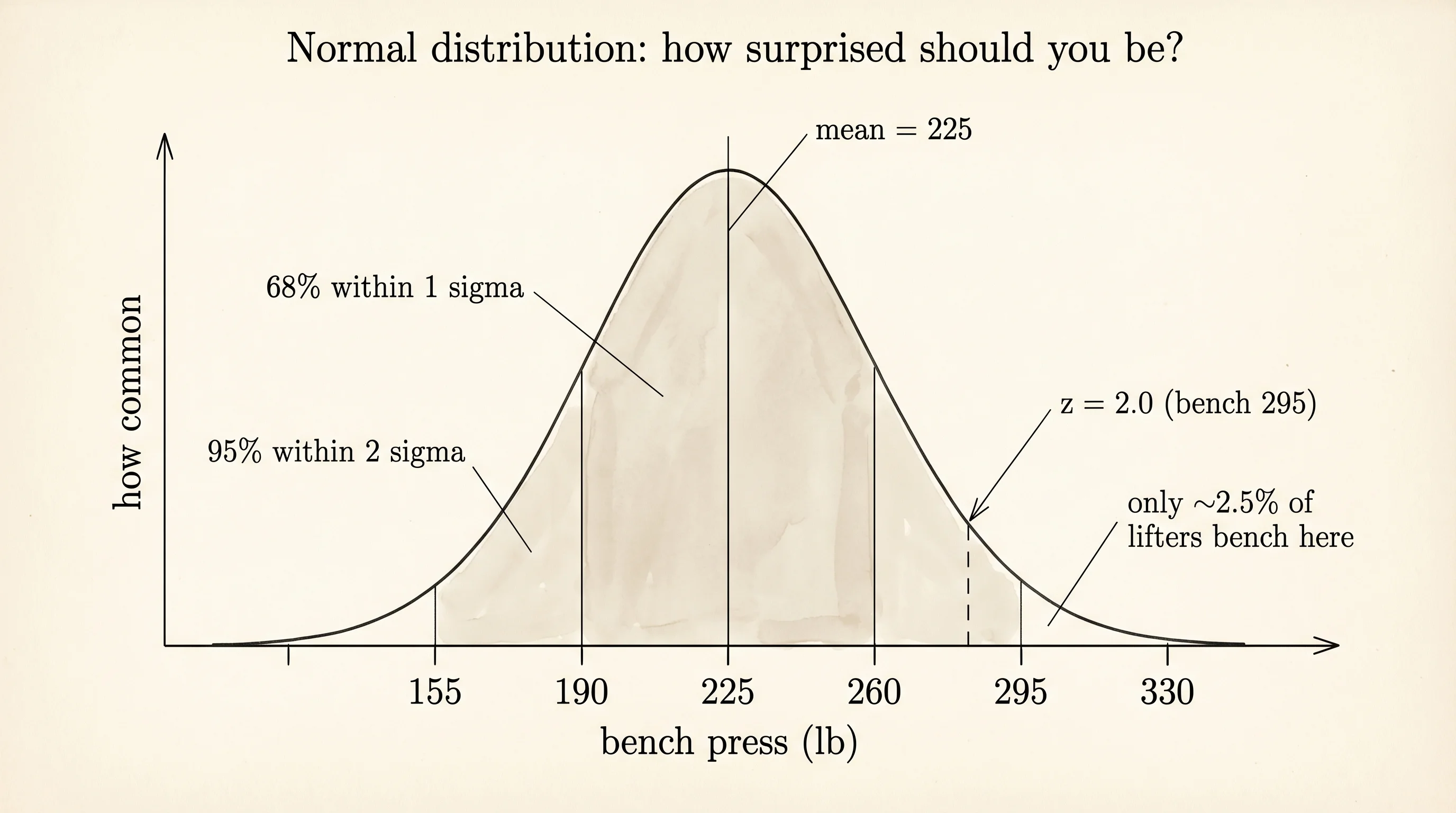 The normal distribution with one- and two-sigma bands shaded; a 295 lb bench sits at z = 2.