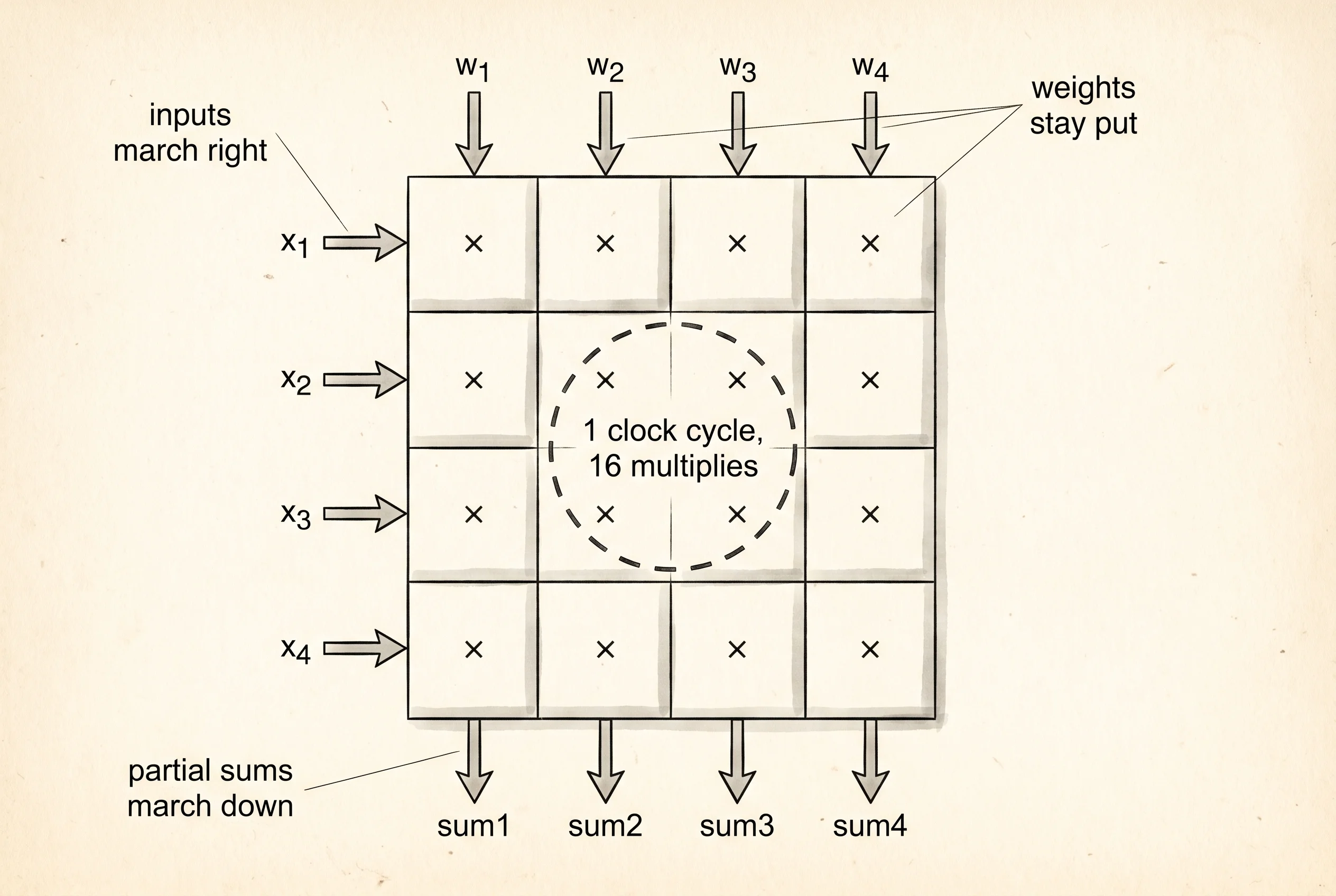 A systolic array: weights stay, inputs flow right, partial sums flow down.