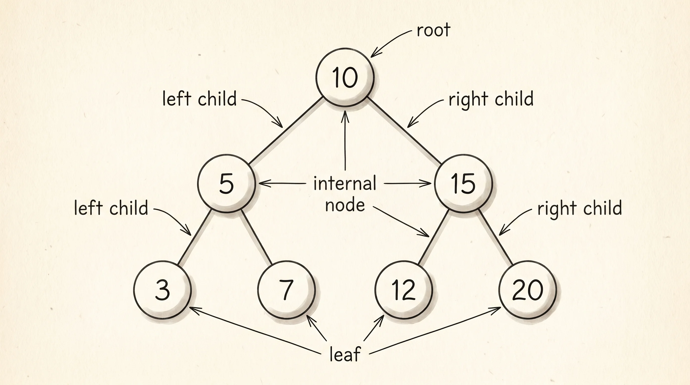 A 7-node binary search tree drawn the way you would sketch it on paper.