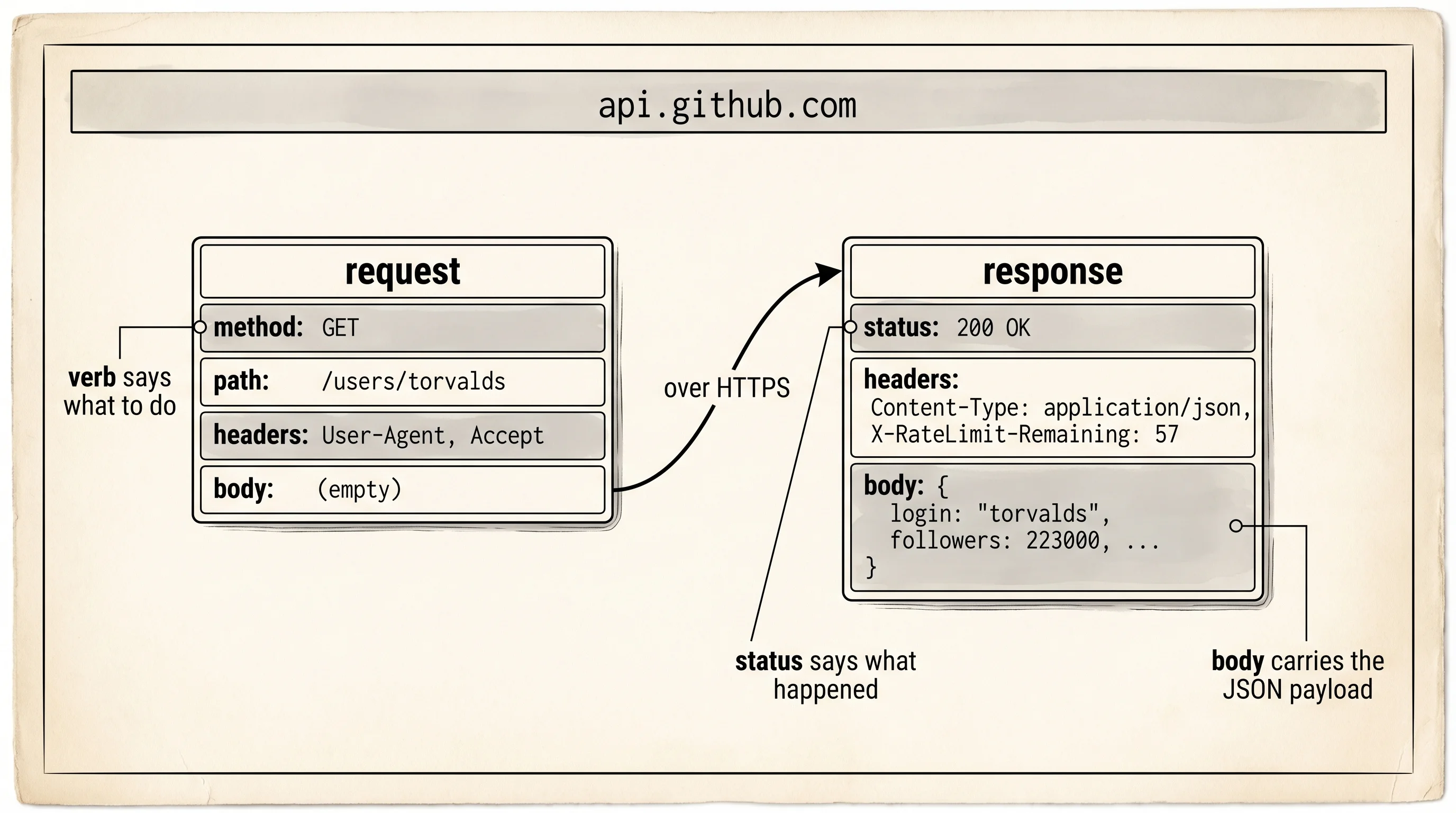 A single HTTP request and response, broken into method, path, headers, and body.